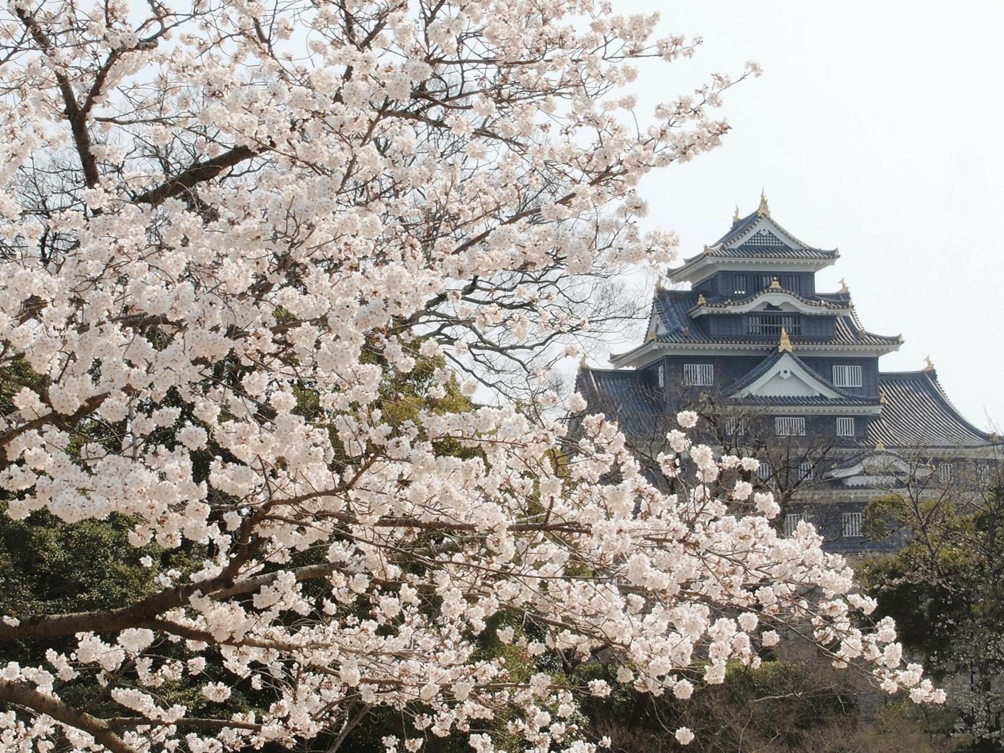 APA Hotel Kurashiki Ekimae Dış mekan fotoğraf
